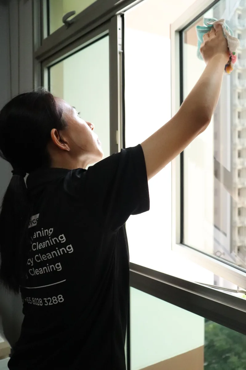 Window cleaning — professional reach and wipe technique