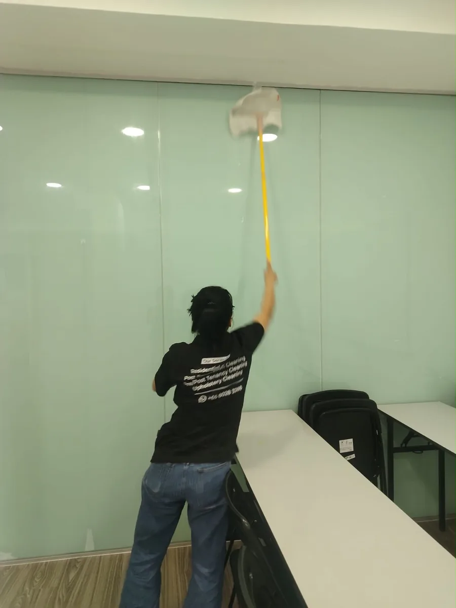 Ceiling and cornice cleaning