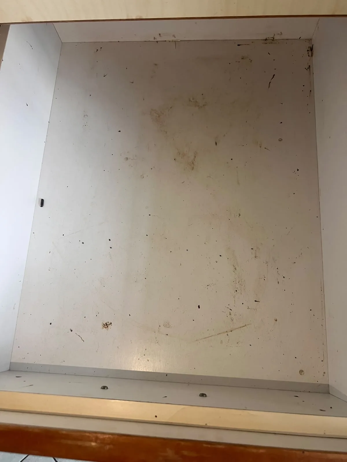 Post-tenancy before cleaning โ drawer interior contaminated with cockroach droppings