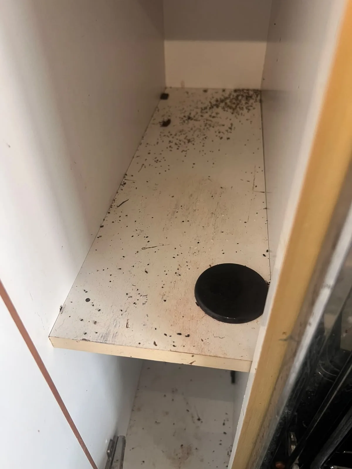 Post-tenancy before cleaning โ lower cabinet with cockroach droppings and heavy grime