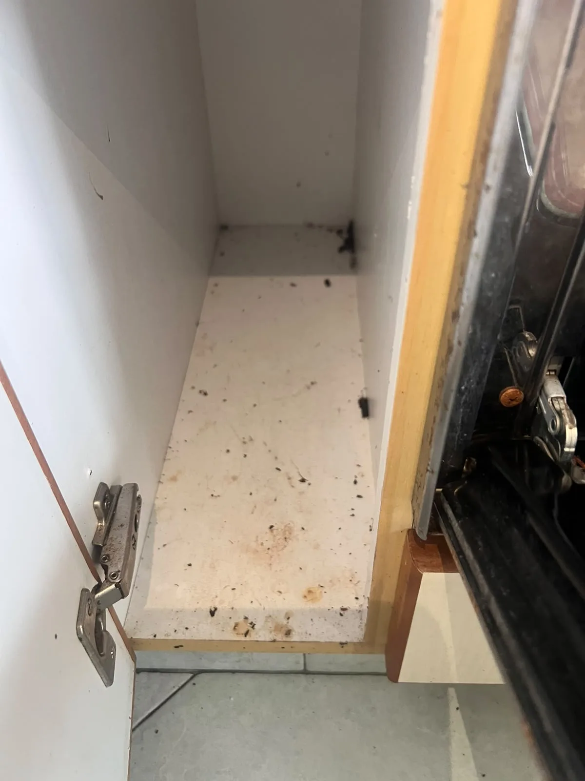 Post-tenancy before cleaning โ narrow kitchen cabinet with cockroach droppings and residue