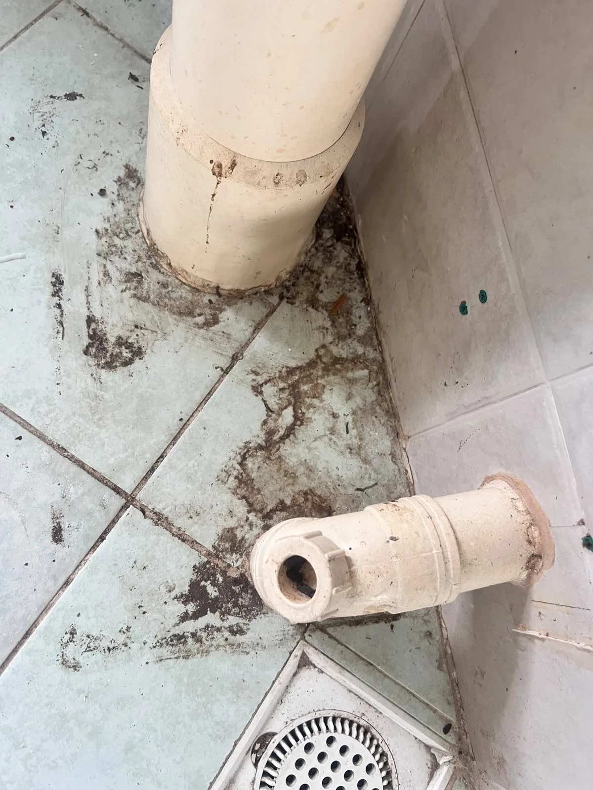 Post-tenancy before cleaning โ bathroom floor and drain heavily soiled around pipes