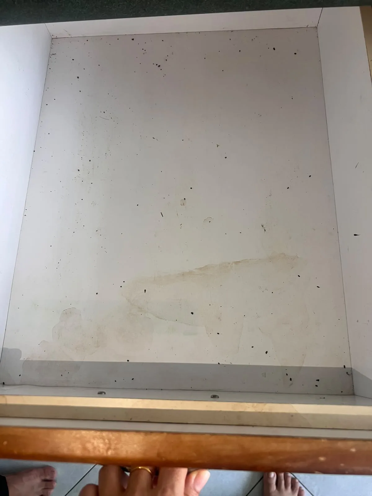 Post-tenancy before cleaning โ kitchen drawer contaminated with cockroach droppings