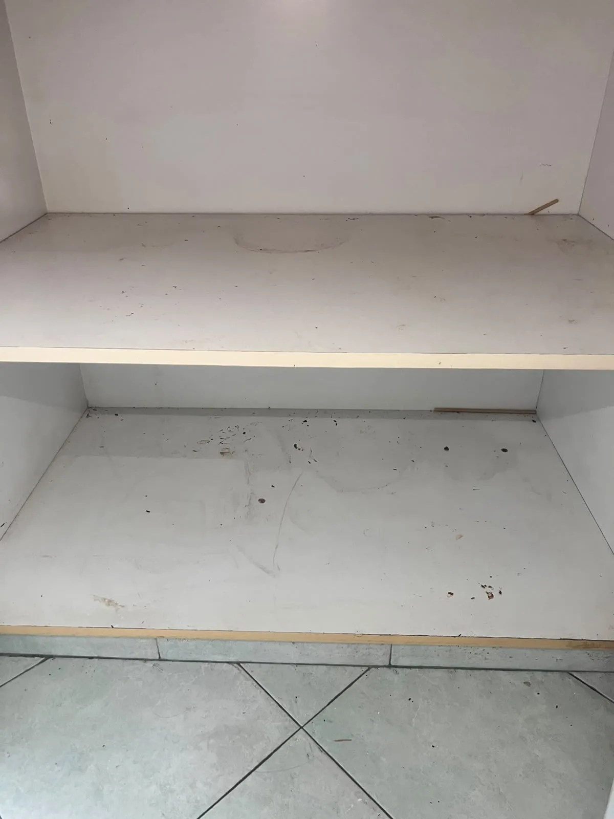 Post-tenancy before cleaning โ cabinet interior with cockroach droppings and grime