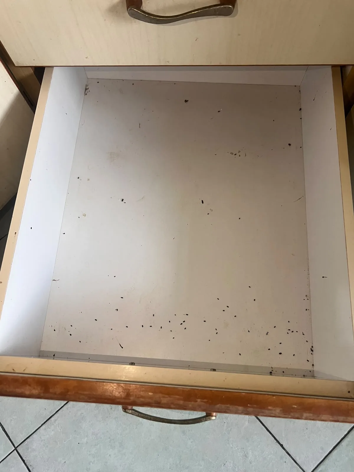 Post-tenancy before cleaning โ kitchen drawer with heavy cockroach droppings