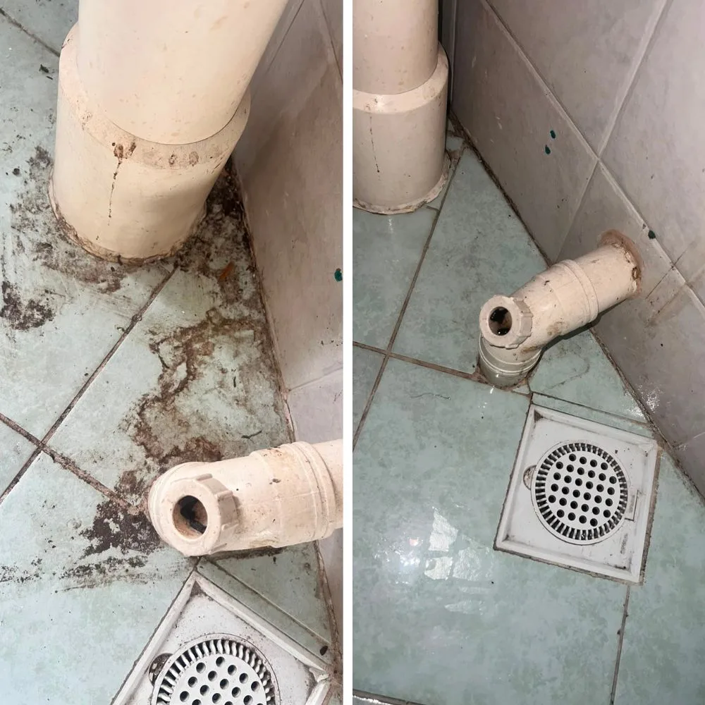 Post-tenancy cleaning — bathroom floor and drain area before and after deep cleaning