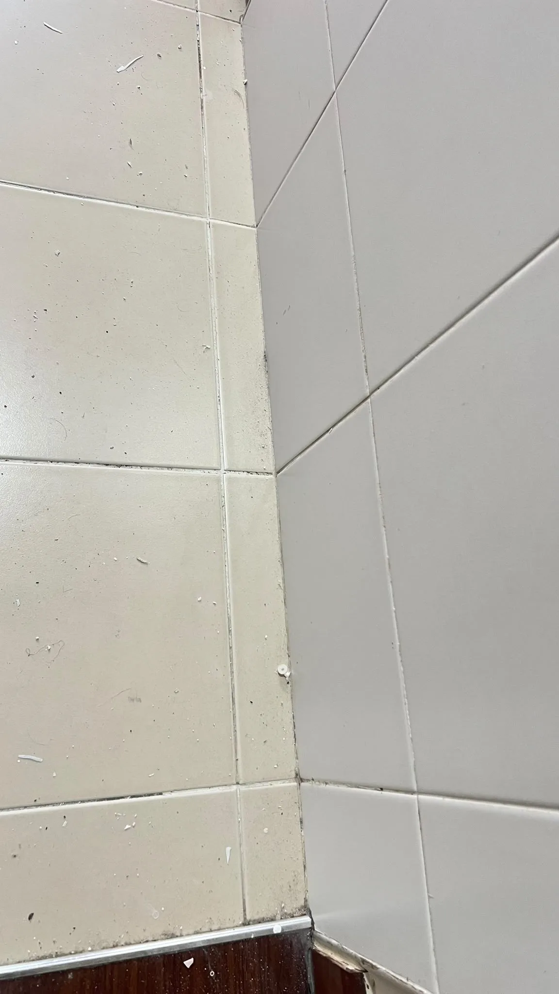 Bathroom before cleaning โ grout haze on tiles